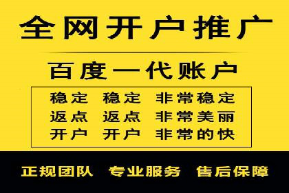 高效百度推广案例解析及优化策略