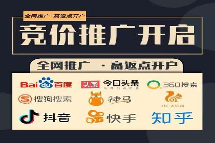网络推广策略：竞价广告的实践案例